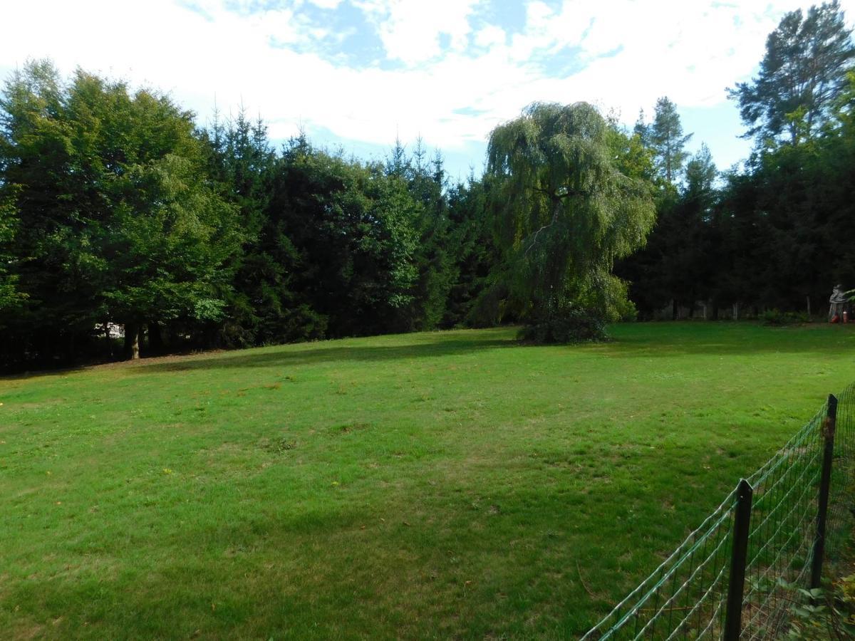 Bed and Breakfast L'Amandaure Saulcy-sur-Meurthe Esterno foto